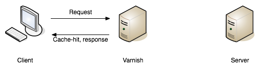 A request being returned early by a varnish server. -- book.varnish-software.com