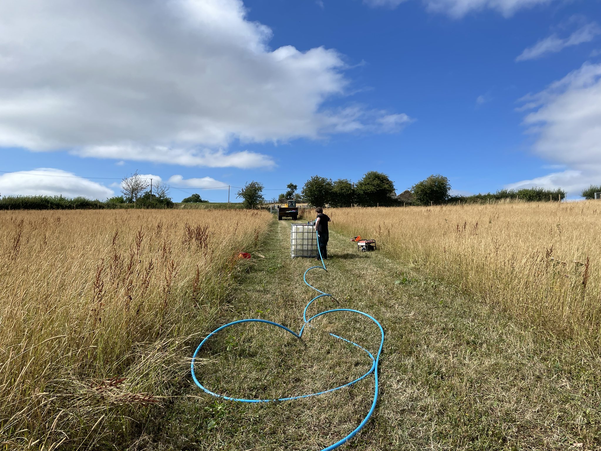 Tall dry grass fills a field of saplings, with an empty water tank and pump waiting for a telehandler to bring another tank of water.