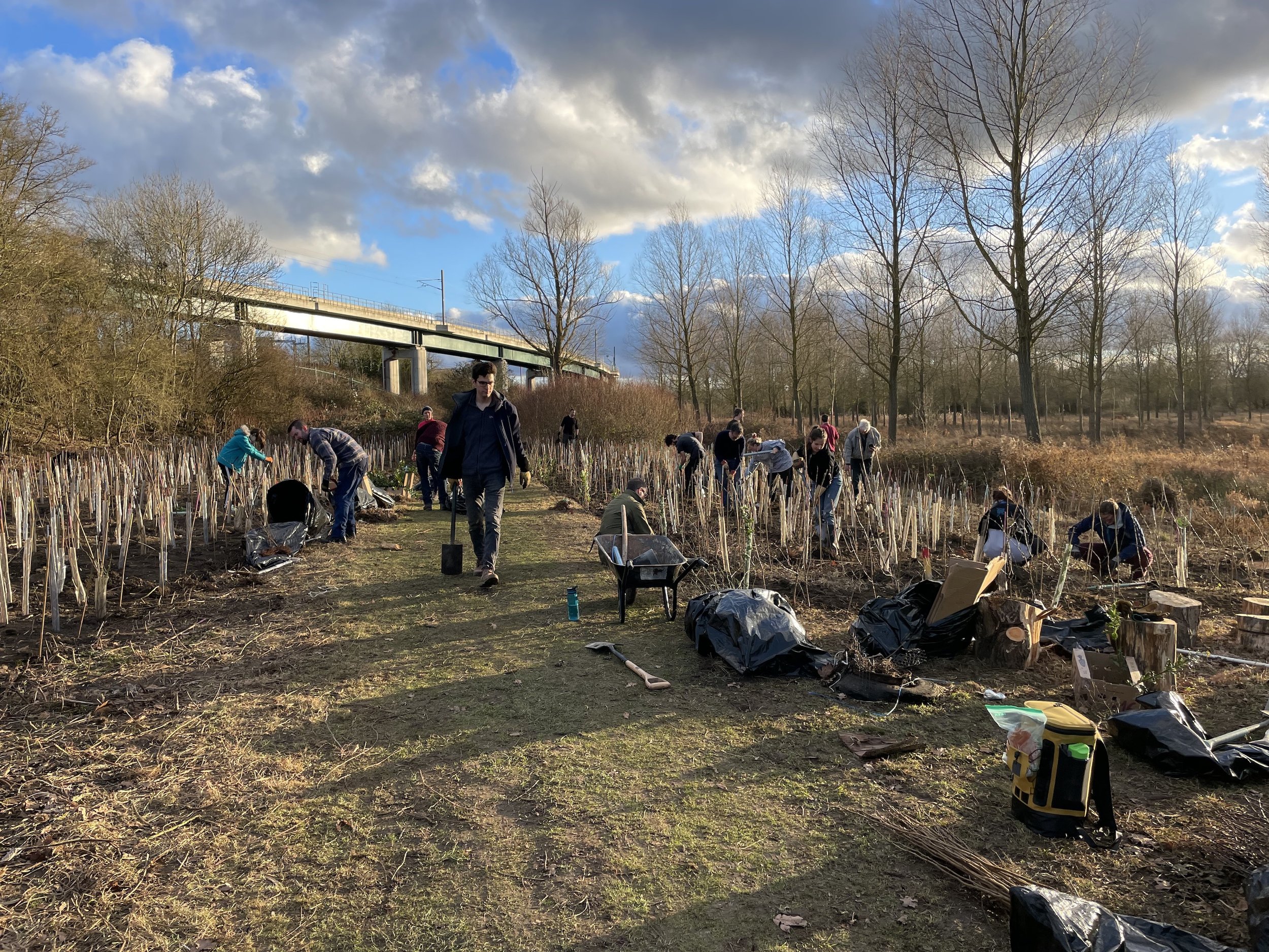 Planting a miniforest with a bunch of volunteers in a scrap of land near London in front of an overground train