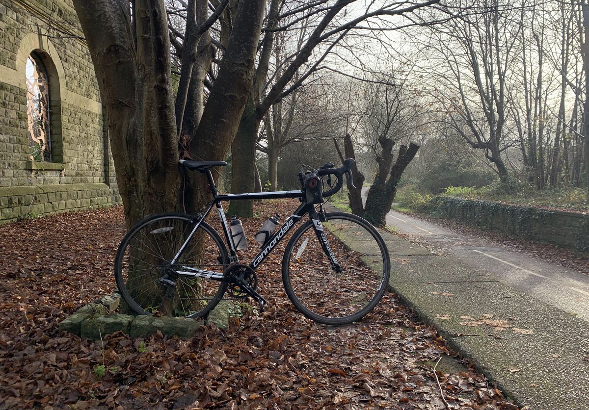 Selling a Bike for Trees... then delivering it Bristol to France